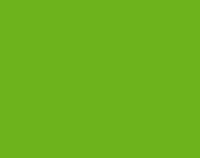 Бумага цветная FOLIA, 300г/м, цвет зеленый травяной №11, 1 лист, А4 
