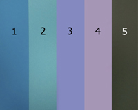 Бумага цветная FOLIA, 300г/м, цвет серый антрацит №5, 1 лист, А4 