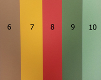 Бумага цветная FOLIA, 300г/м, цвет мята №10, 1 лист, А4 