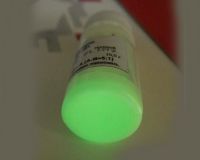 Компаунд фосфоресцирующий  ФЛ-221, зеленый, 12 г